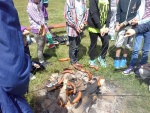 ekolandia_2014_1