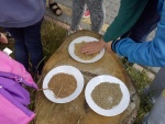 ekolandia_2014_3
