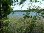 serwy_2012_50