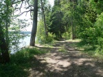 serwy_2012_51