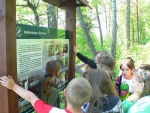 serwy_2012_53