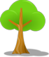 Drzewo